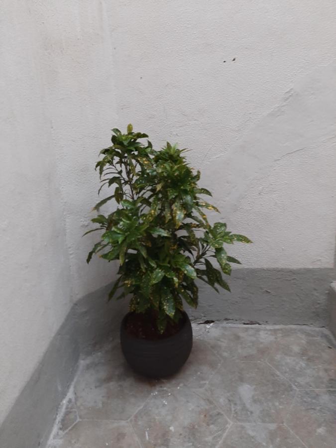 Al Crocifisso...Da Nonna Pia Apartamento Salerno Exterior foto